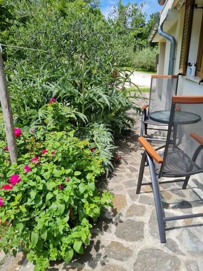 Apartma Istra Zora Sečovlje Exterior foto
