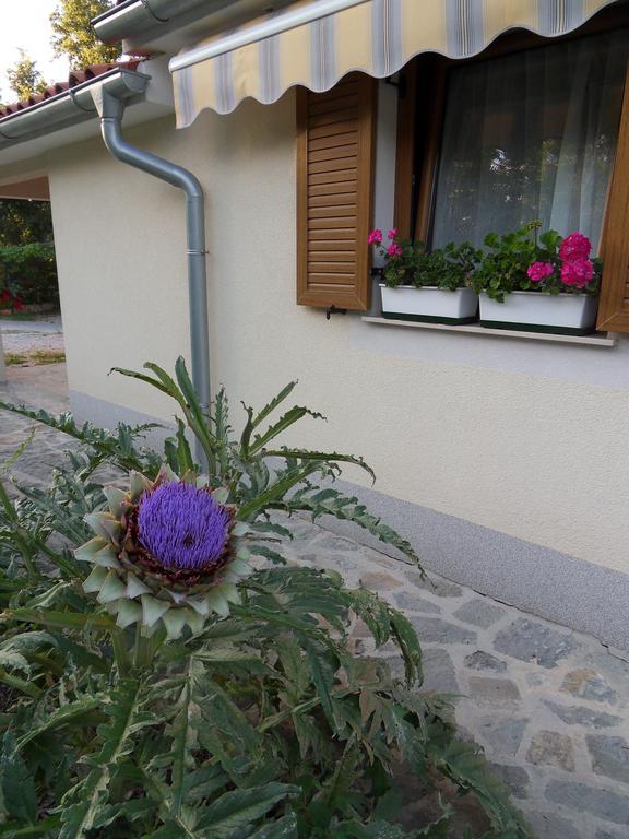 Apartma Istra Zora Sečovlje Exterior foto